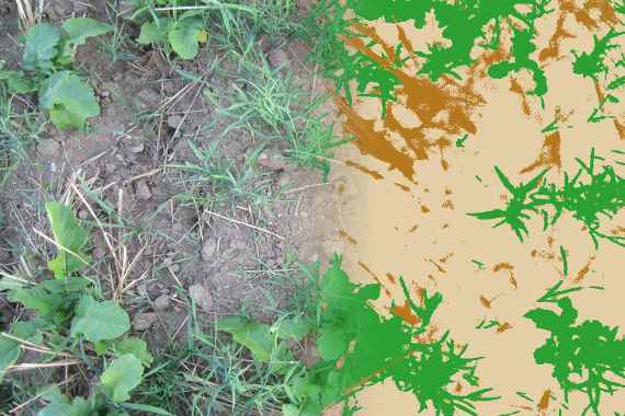 Image with graphics over a field (SoilCover)
