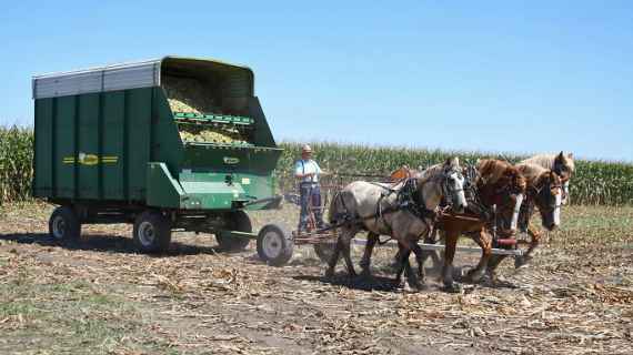 Phasing out fossil fuels in agriculture – can we really do that?