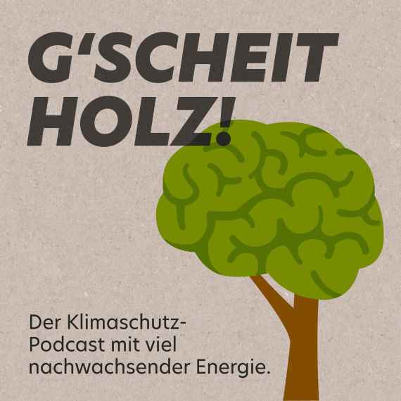 Gscheitholz