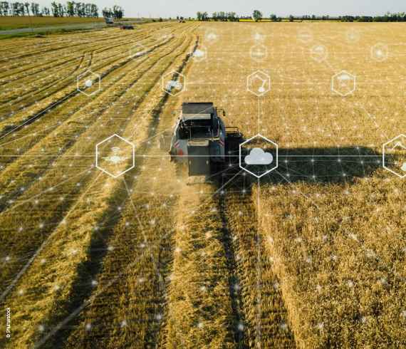 Titelbild - KI in der Landwirtschaft