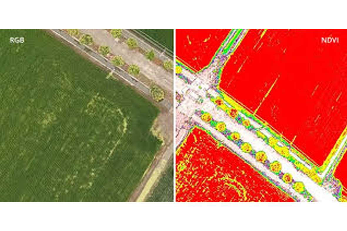 Drones with multispectral cameras (Aerial view)