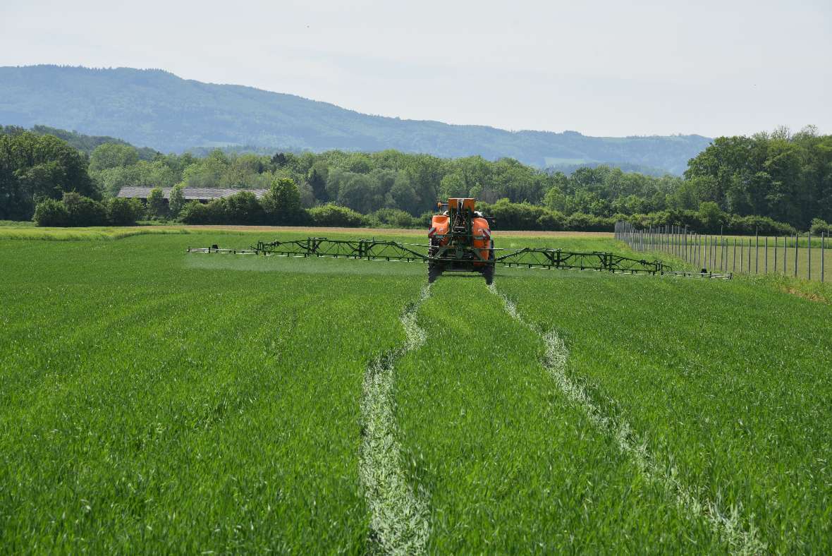 Tractor with a sprayer on a meadow