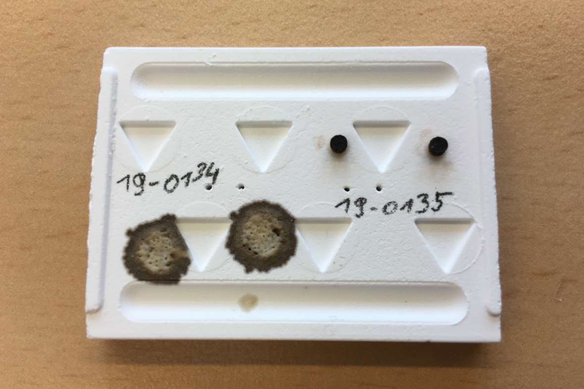 Sample measurement result