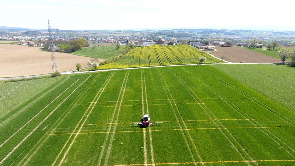 Traktor auf Wiese