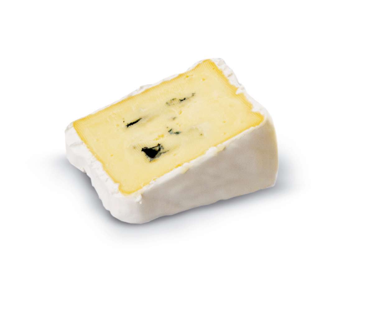 Doppelschimmel
