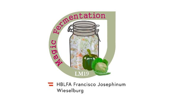 Logo Magic Fermentation